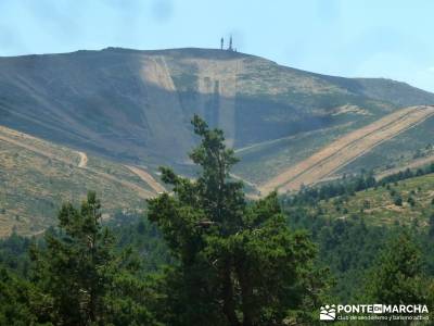 Loma del Noruego; Pinares Valsaín; senderismo viajes;excursiones semana santa